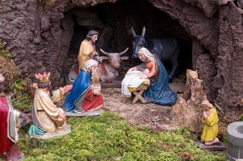 Výstava 2019 - foto 21