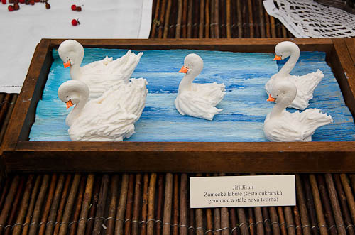 Výstava 2025 - foto 19