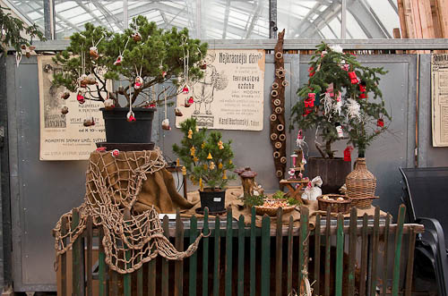 Výstava 2025 - foto 43