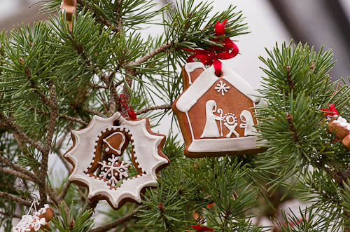 Výstava 2025 - foto 58