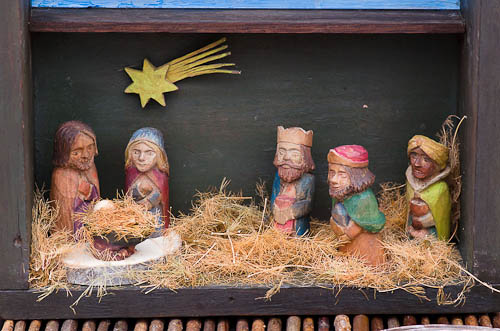 Výstava 2025 - foto 59