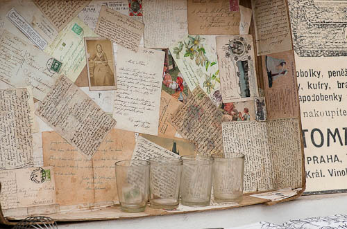 Výstava 2025 - foto 75