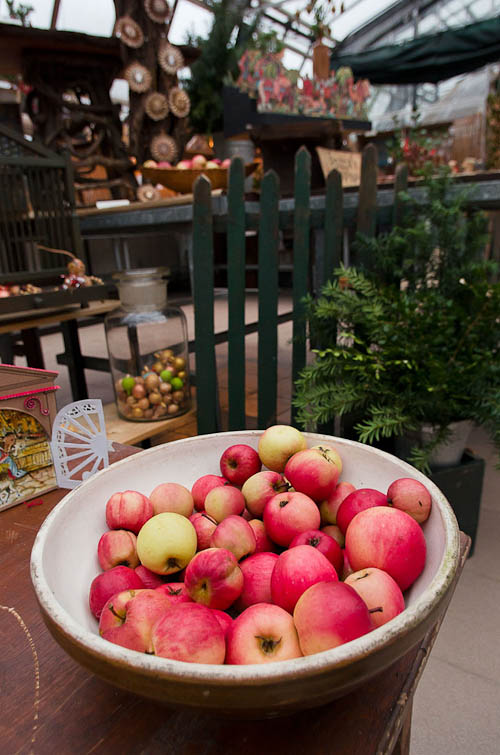 Výstava 2025 - foto 88