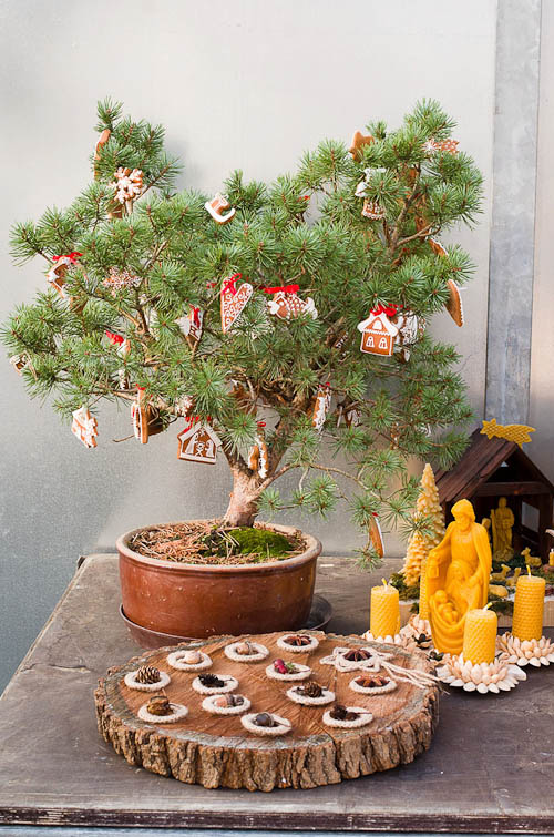 Výstava 2025 - přípravy - foto 8