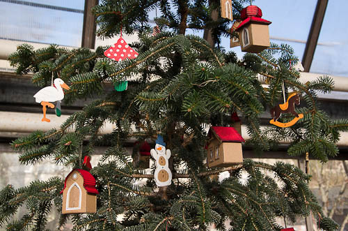 Výstava 2025 - přípravy - foto 14