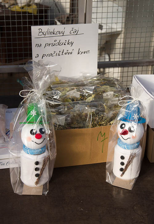 Výstava 2025 - přípravy - foto 15