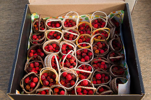 Výstava 2025 - přípravy - foto 18