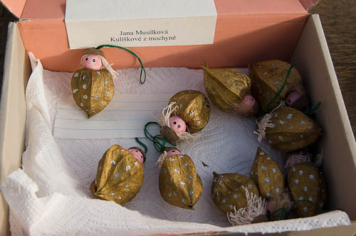 Výstava 2025 - přípravy - foto 22