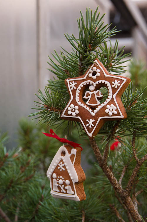 Výstava 2025 - přípravy - foto 32