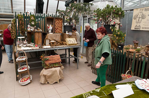 Výstava 2025 - přípravy - foto 47