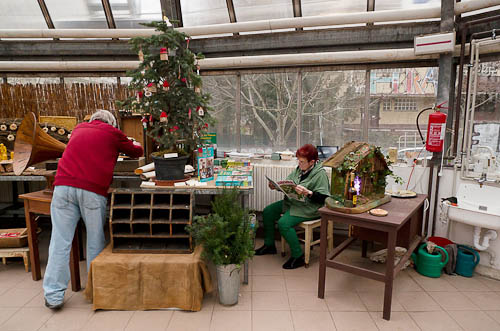 Výstava 2025 - přípravy - foto 52