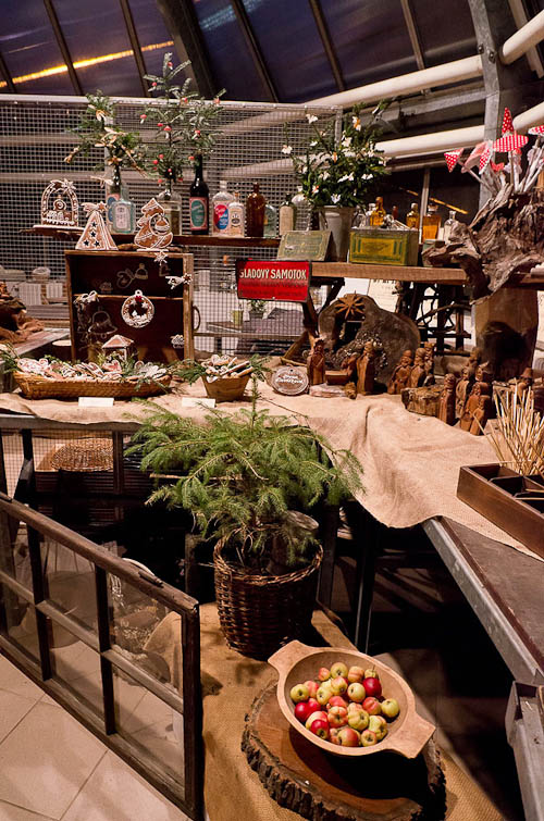 Výstava 2025 - vernisáž - foto 12